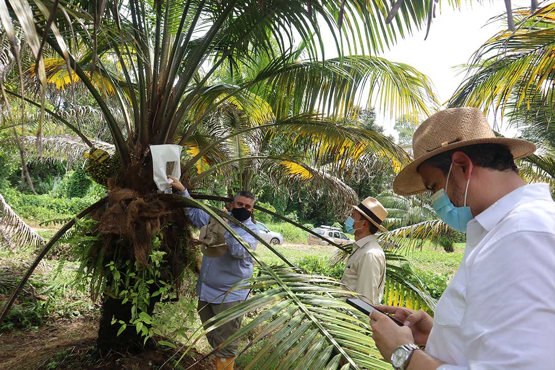 Visita a Zona Central