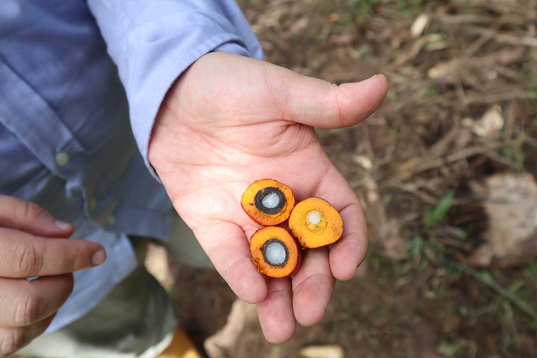 Visita a Zona Central