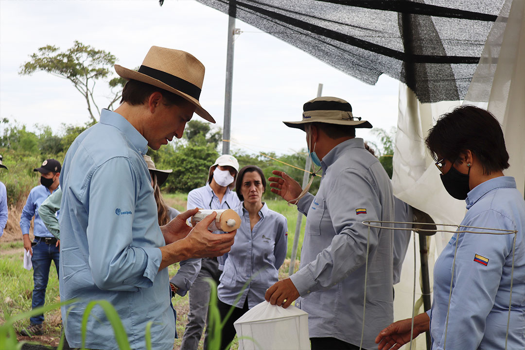 Visita a Zona Oriental