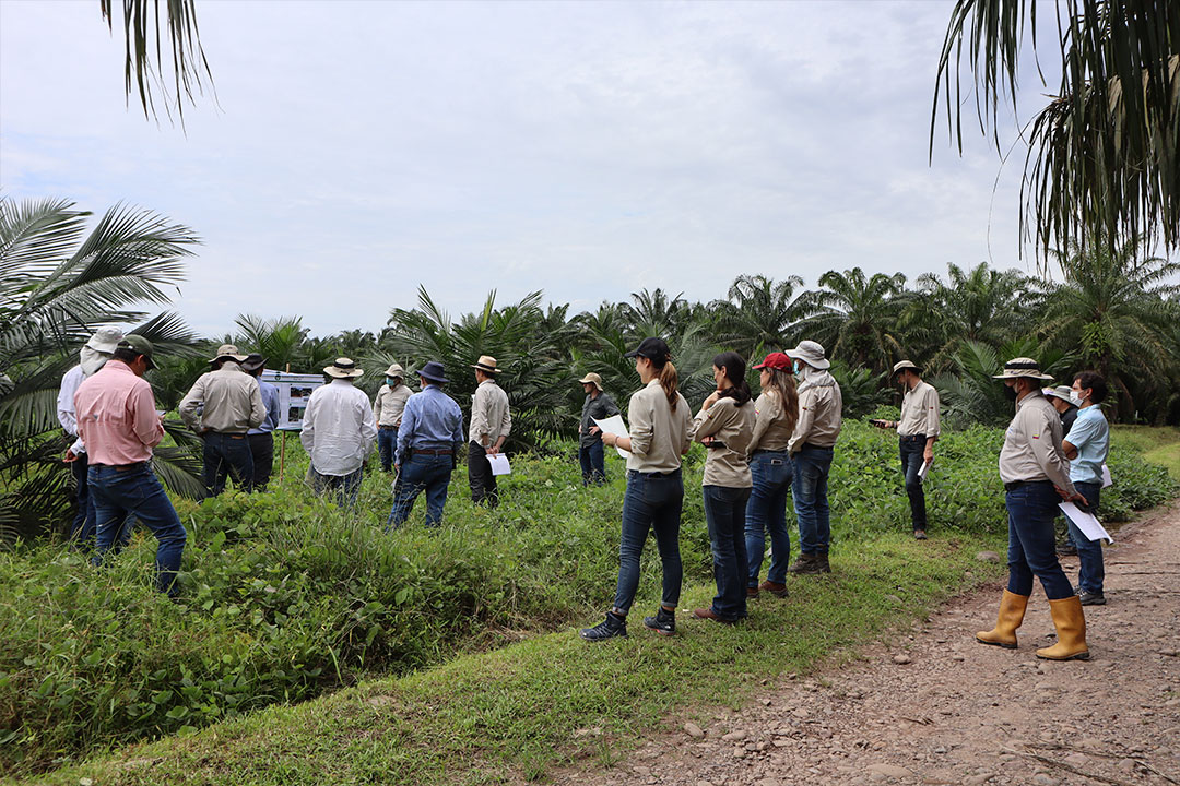 Visita a Zona Oriental