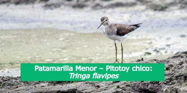 Se abre una nueva puerta para Bioenergy