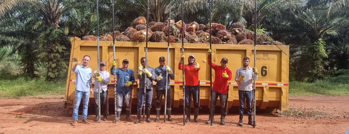 Programa Maestros Palmeros: la fuerza de una palma productiva y sostenible