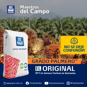 banner_home_palmi_maestroscampo