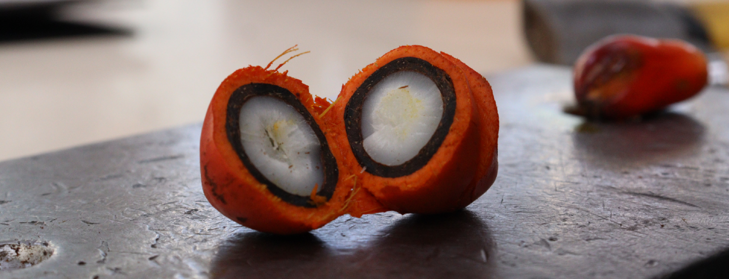 ¿Cloro orgánico o inorgánico? – Claves para reducir los ésteres de 3-MCPD en el aceite de palma